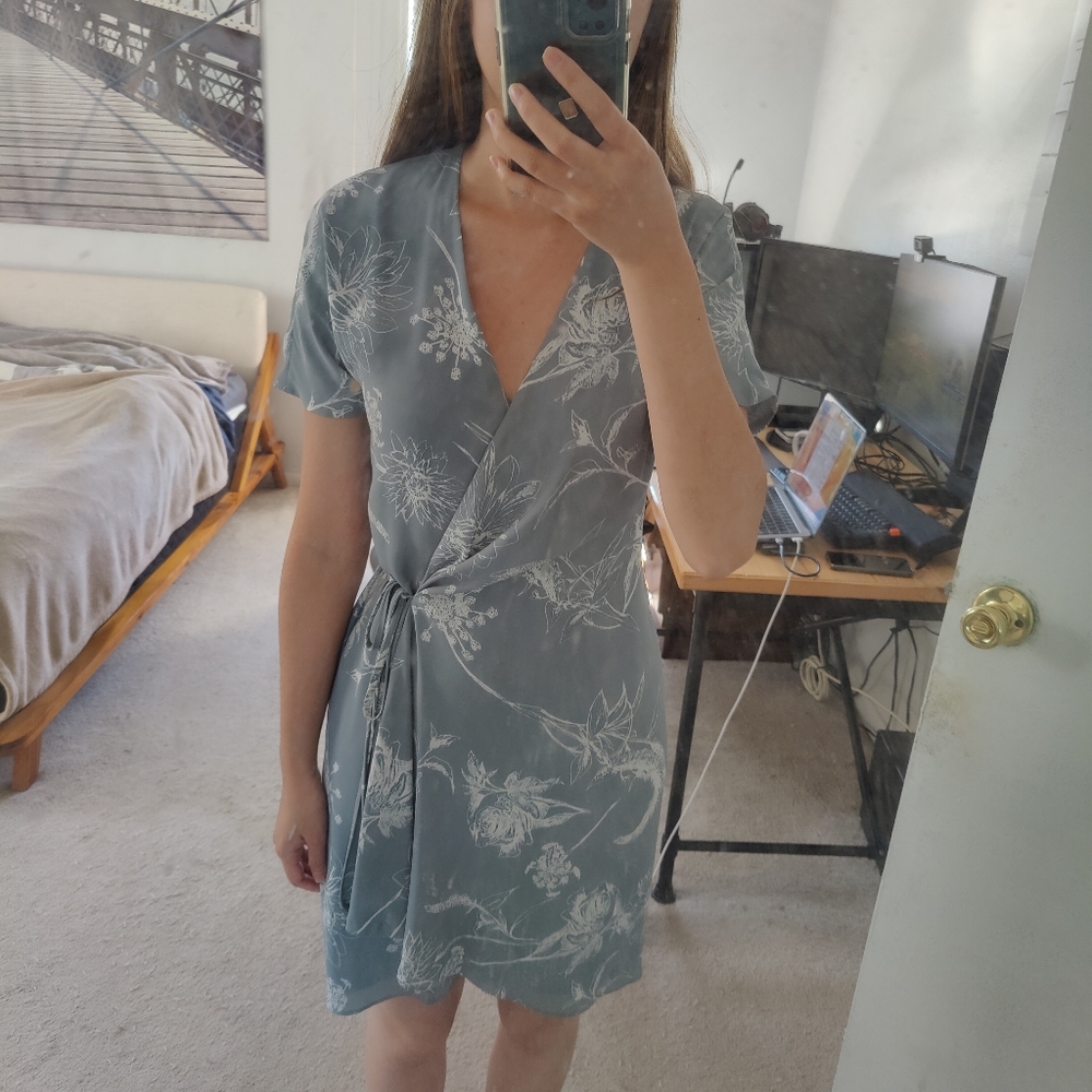 Aritzia Babaton Wallace Dress